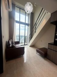 Irwell Hill Residences (D9), Apartment #601892591